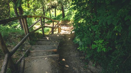 Vintage wooden steps made of logs in the forest, natural background.